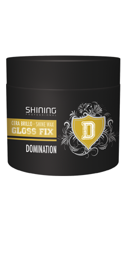 Shining - Gloss Fix