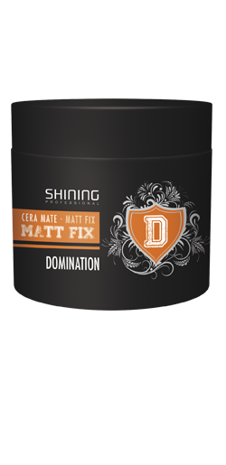 Shining - Matt Fix